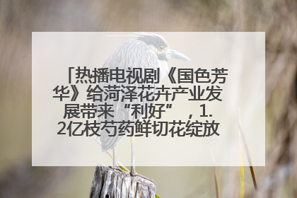 热播电视剧《国色芳华》给菏泽花卉产业发展带来“利好”，1.2亿枝芍药鲜切花绽放“国色芳华”