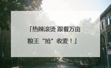 热辣滚烫 跟着万亩粮王“抢”收麦！