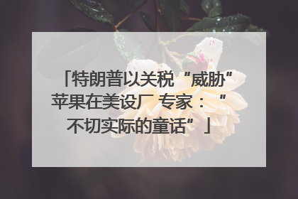 特朗普以关税“威胁”苹果在美设厂 专家：“不切实际的童话”