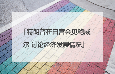 特朗普在白宫会见鲍威尔 讨论经济发展情况