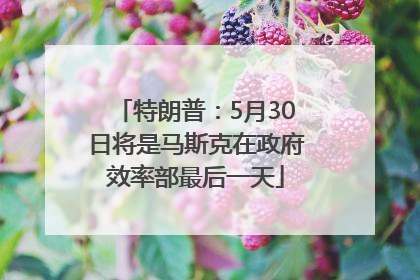 特朗普：5月30日将是马斯克在政府效率部最后一天