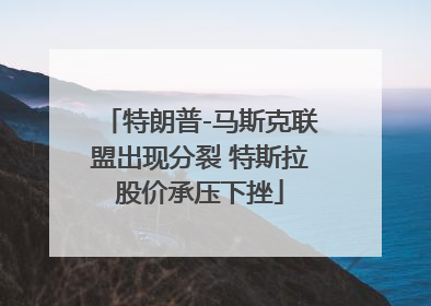 特朗普-马斯克联盟出现分裂 特斯拉股价承压下挫