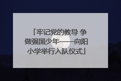 牢记党的教导 争做强国少年——向阳小学举行入队仪式