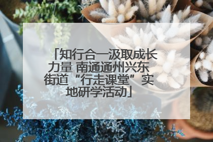 知行合一汲取成长力量 南通通州兴东街道“行走课堂”实地研学活动