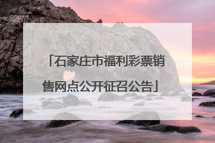 石家庄市福利彩票销售网点公开征召公告