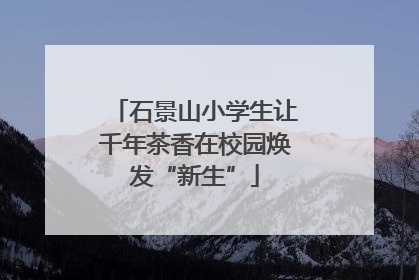 石景山小学生让千年茶香在校园焕发“新生”