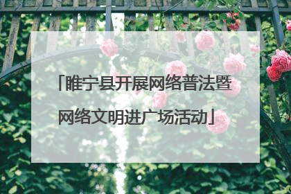 睢宁县开展网络普法暨网络文明进广场活动