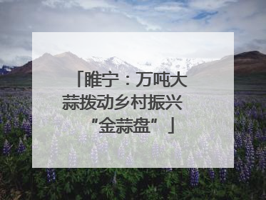 睢宁：万吨大蒜拨动乡村振兴“金蒜盘”