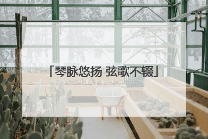 琴脉悠扬 弦歌不辍