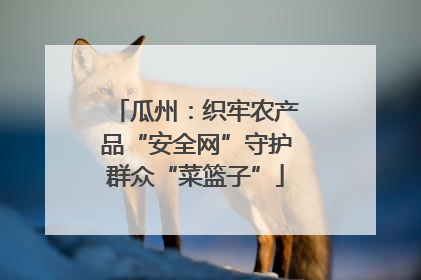 瓜州：织牢农产品“安全网”守护群众“菜篮子”