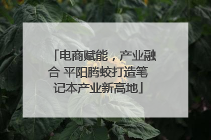 电商赋能，产业融合 平阳腾蛟打造笔记本产业新高地