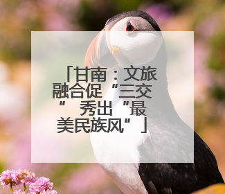 甘南：文旅融合促“三交” 秀出“最美民族风”