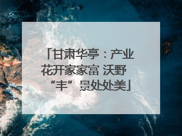 甘肃华亭：产业花开家家富 沃野“丰”景处处美
