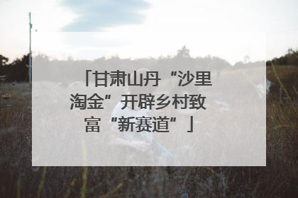 甘肃山丹“沙里淘金”开辟乡村致富“新赛道”
