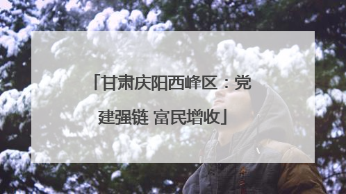甘肃庆阳西峰区：党建强链 富民增收