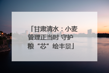 甘肃清水：小麦管理正当时 守护粮“芯”绘丰景