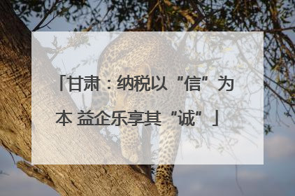 甘肃：纳税以“信”为本 益企乐享其“诚”