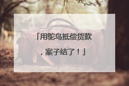 用鸵鸟抵偿货款，案子结了！