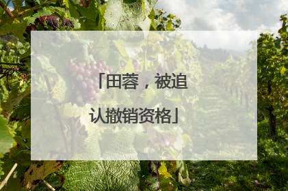 田蓉，被追认撤销资格