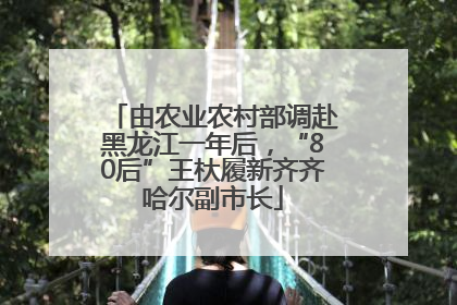 由农业农村部调赴黑龙江一年后，“80后”王杕履新齐齐哈尔副市长