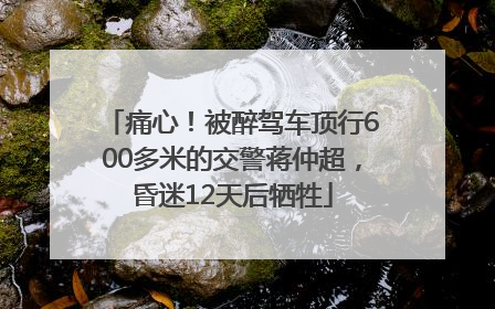 痛心！被醉驾车顶行600多米的交警蒋仲超，昏迷12天后牺牲