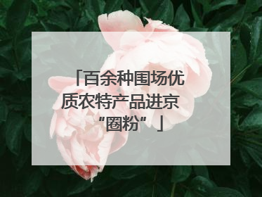 百余种围场优质农特产品进京“圈粉”