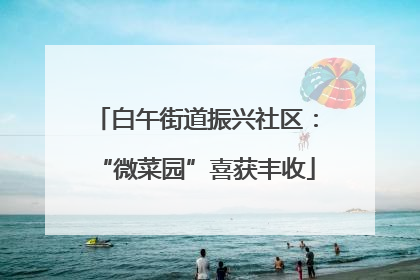 白午街道振兴社区：“微菜园”喜获丰收