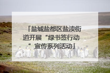 盐城盐都区盐渎街道开展“绿书签行动”宣传系列活动