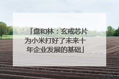 盘和林：玄戒芯片为小米打好了未来十年企业发展的基础