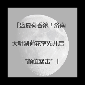 盛夏荷香浓！济南大明湖荷花率先开启“颜值暴击”