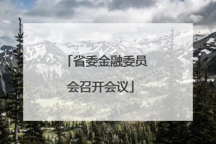 省委金融委员会召开会议