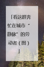 看这群奔忙在城市“静脉”的劳动者（图）