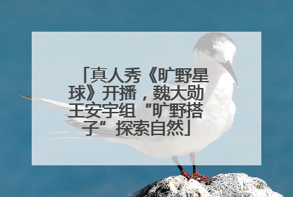 真人秀《旷野星球》开播，魏大勋王安宇组“旷野搭子”探索自然