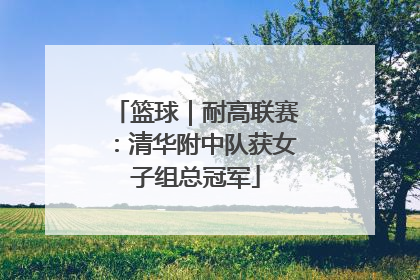 篮球｜耐高联赛：清华附中队获女子组总冠军