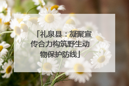 礼泉县：凝聚宣传合力构筑野生动物保护防线