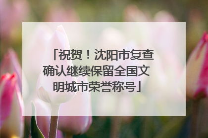 祝贺！沈阳市复查确认继续保留全国文明城市荣誉称号