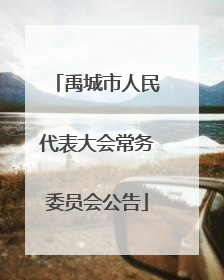 禹城市人民代表大会常务委员会公告