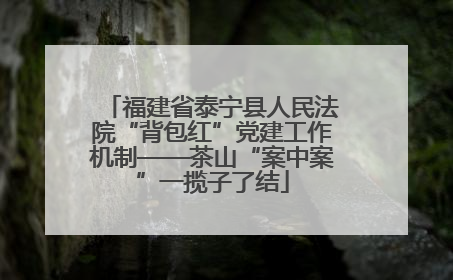 福建省泰宁县人民法院“背包红”党建工作机制——茶山“案中案”一揽子了结