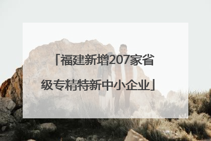 福建新增207家省级专精特新中小企业