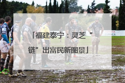 福建泰宁：灵芝“链”出富民新图景