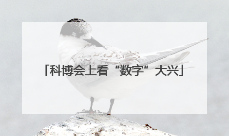 科博会上看“数字”大兴