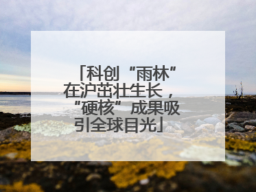 科创“雨林”在沪茁壮生长，“硬核”成果吸引全球目光