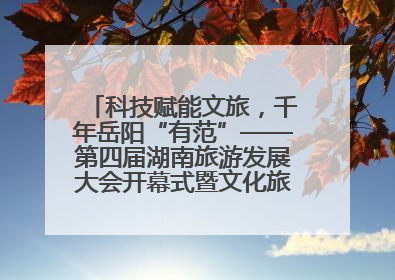 科技赋能文旅，千年岳阳“有范”——第四届湖南旅游发展大会开幕式暨文化旅游推介会侧记
