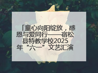 童心向阳绽放，感恩与爱同行——宿松县特教学校2025年“六一”文艺汇演圆满落幕