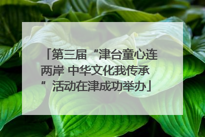 第三届“津台童心连两岸 中华文化我传承”活动在津成功举办