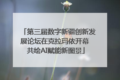 第三届数字新疆创新发展论坛在克拉玛依开幕 共绘AI赋能新图景