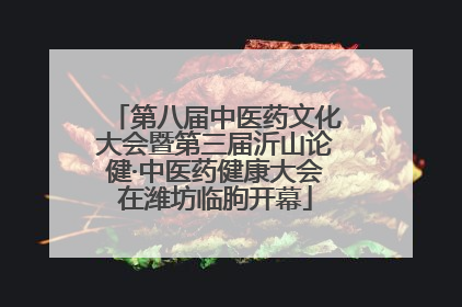 第八届中医药文化大会暨第三届沂山论健·中医药健康大会在潍坊临朐开幕