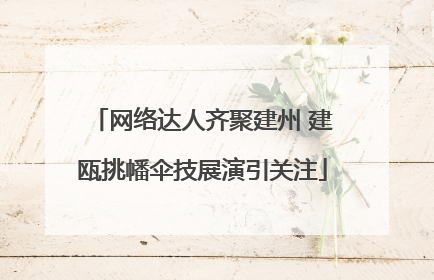 网络达人齐聚建州 建瓯挑幡伞技展演引关注