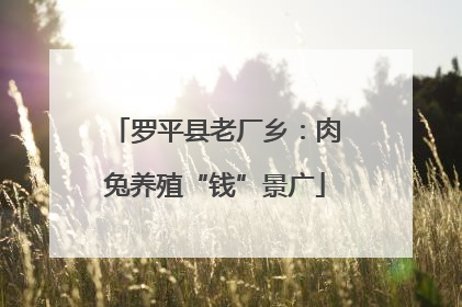 罗平县老厂乡：肉兔养殖“钱”景广