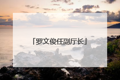 罗文俊任副厅长